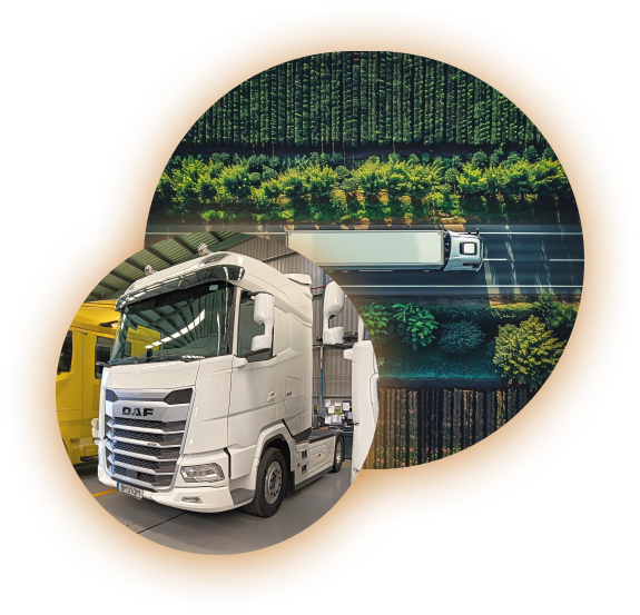 Montagem de duas imagens circulares uma por cima da outra, a da esquerda em baixo de um camião visto de frente, da Ta Transportes dentro do armazém, a de trás de um camião visto de cima numa estrada rodeado de uma vista verde com árvores.